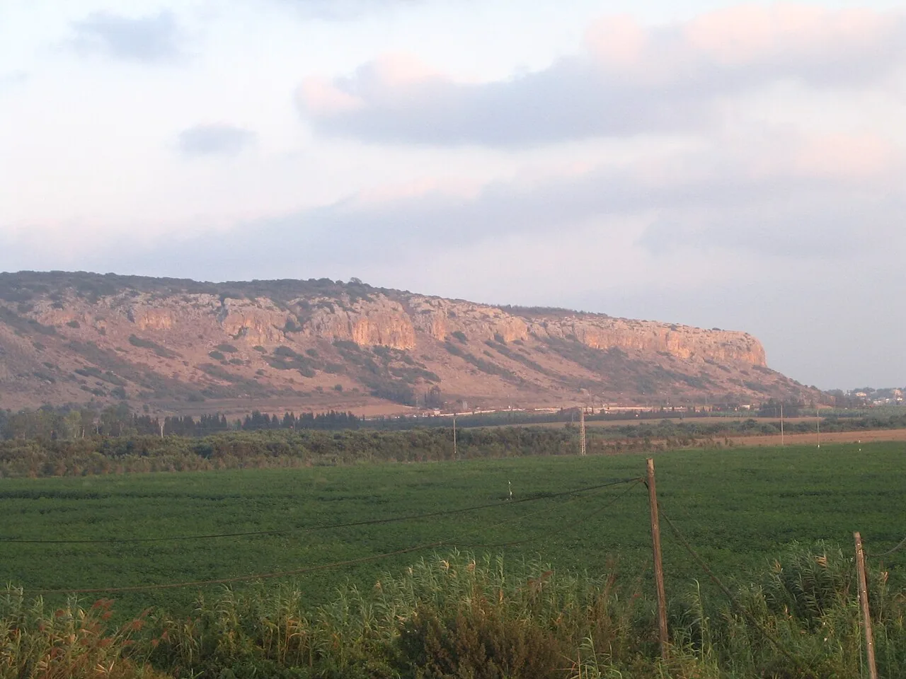 Virgen del Carmen